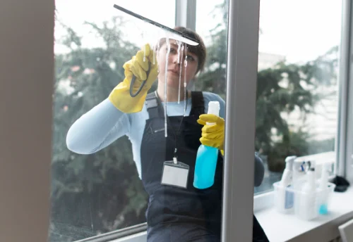 Nettoyage de vitres intérieures et extérieures à Desingy